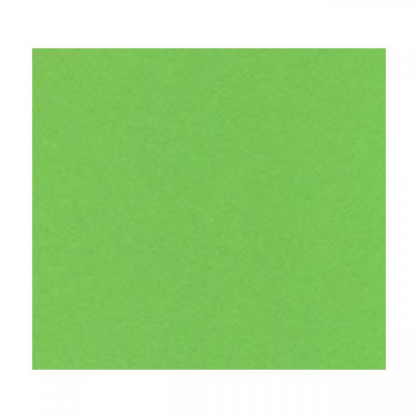 Картон Papicolor A4 270 g/m2 10 л. Зелен
