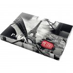 Panta Plast Бокс Paris Collection, PP, с ластик, A4, 2.5 cm
