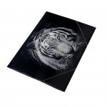 Panta Plast Папка Tiger Collection, PP, с ластик, с 3 капака, A4