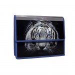 Panta Plast Папка Tiger Collection, PP, тип хармоника, с капак, A4