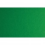 Fabriano Картон Colore, 70 x 100 cm, 200 g/m2, № 231, зелен