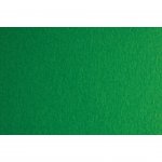 Fabriano Картон Colore, 50 x 70 cm, 200 g/m2, № 231, зелен