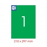 Tanex Самозалепващи етикети, A4, 210 x 297 mm, зелени, 25 листа