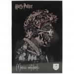 Нотна тетрадка Kite Harry Potter A4 20 л.