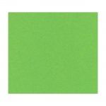 Картон Papicolor A4 270 g/m2 10 л. Зелен