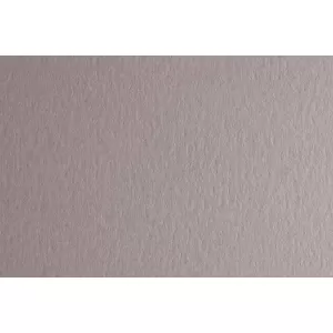 Fabriano Картон Colore, 50 x 70 cm, 140 g/m2, № 222, светлосив