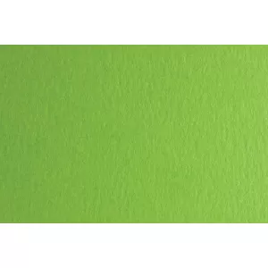 Fabriano Картон Colore, 50 x 70 cm, 140 g/m2, № 230, тревистозелен
