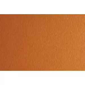 Fabriano Картон Colore, 50 x 70 cm, 200 g/m2, № 223, светлокафяв