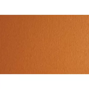 Fabriano Картон Colore, 70 x 100 cm, 140 g/m2, № 223, светлокафяв