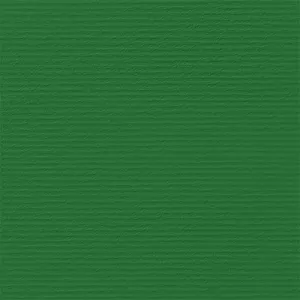 Fabriano Картон Elle Erre, 70 x 100 cm, 220 g/m2, № 111, зелен